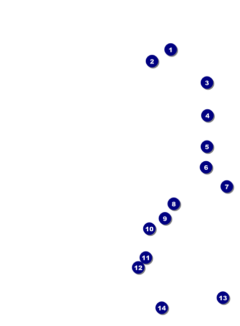 Retro Sunburst Invitation Front Field Markers