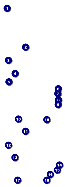 Royal Event Ticket Front Field Markers