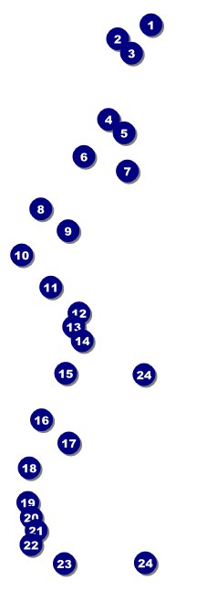 Beauty and the Beast Event Ticket Front Field Markers