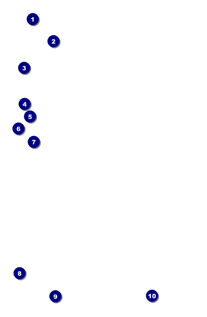 Dinosaur Illustrated Drink Ticket Front Field Markers