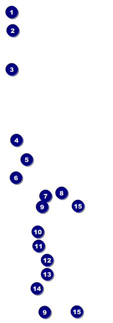 Ice Cream Raffle Ticket Front Field Markers