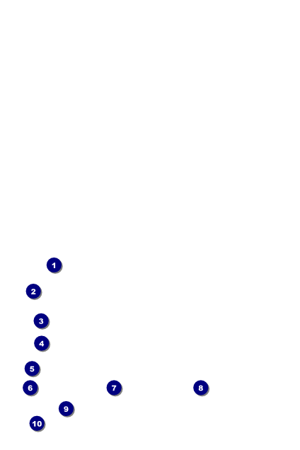 Your Photo Concert Blue Poster Front Field Markers