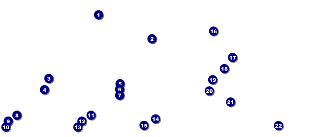 Airline VIP Pass Front Field Markers