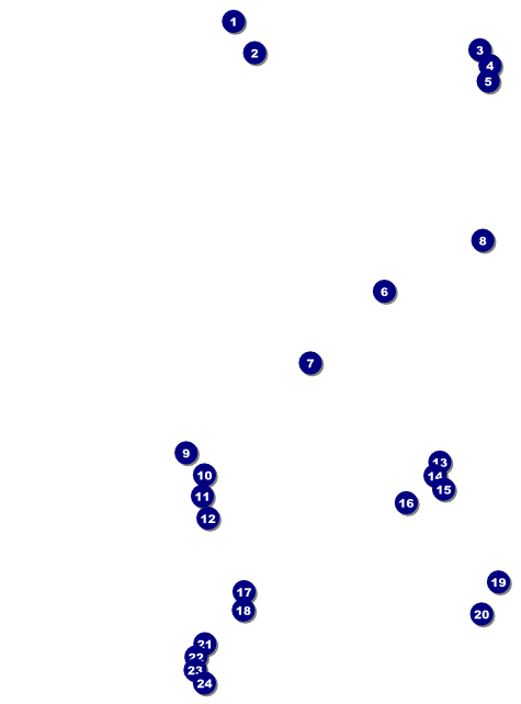 Anime Flyer Front Field Markers