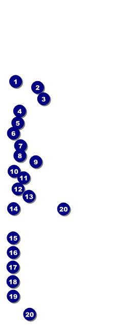 Chocolate Raffle Ticket Front Field Markers