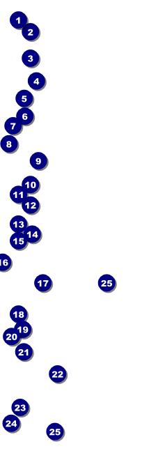 Oral Cancer Event Ticket Front Field Markers