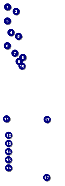 Blues Cruise Raffle Ticket Front Field Markers