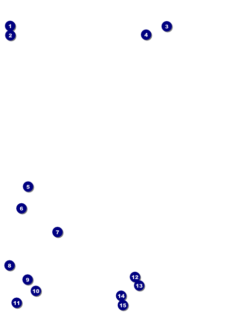 Medieval Banquet Flyer Front Field Markers