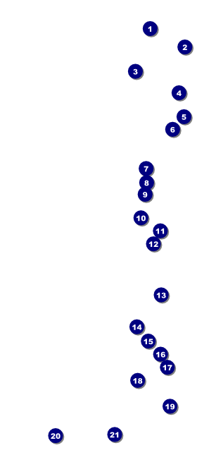 Norwegian VIP Pass Front Field Markers