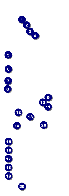 Puerto Rico Flag Raffle Ticket Front Field Markers