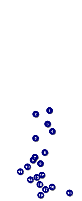 Soccer stadium Table Tent Front Field Markers