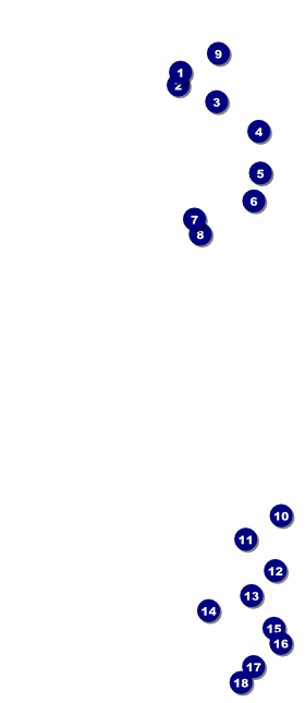 Goth Rave VIP Event Badge Large Front Field Markers