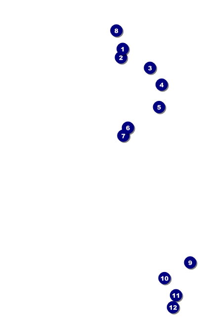 Goth Rave VIP Event Badge Medium Front Field Markers