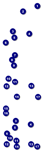 Walk Reserved Event Ticket Front Field Markers