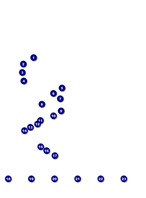 California Flyer (Blue and Salmon) Front Field Markers