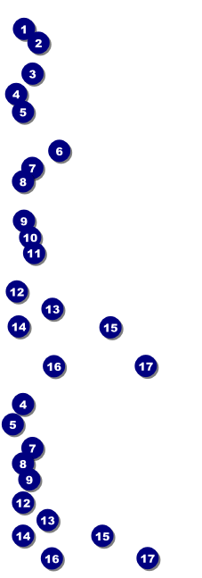 Christmas Tree 002 Reserved Event Ticket Front Field Markers