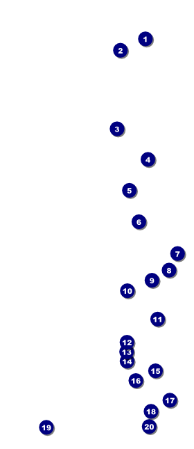 All Purpose Skyline Black and White VIP Pass Front Field Markers