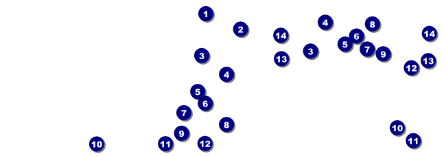 Green Glitter Reserved Event Ticket Front Field Markers