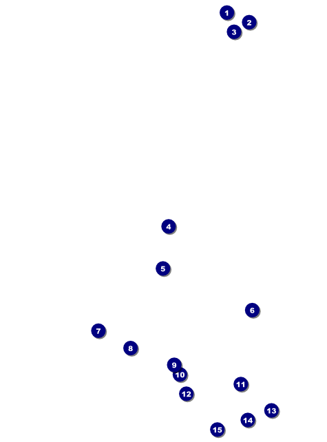Chinese New Year Ox Flyer Front Field Markers