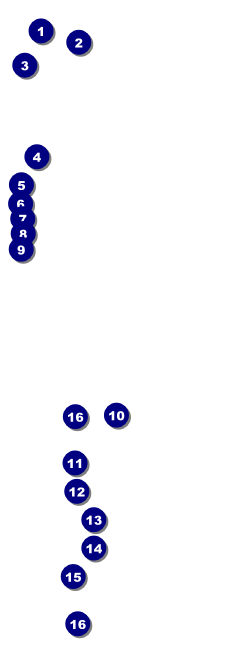 Raas Garba Raffle Ticket Front Field Markers