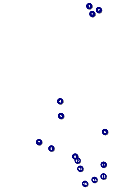 Chinese New Year Tiger Poster Front Field Markers