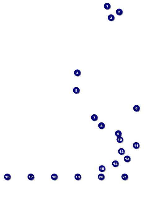 Chinese New Year Rabbit Image Flyer Front Field Markers