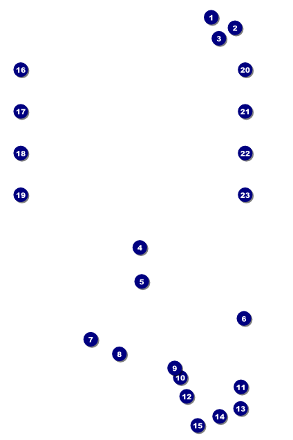 Chinese New Year Rabbit Image Poster Front Field Markers