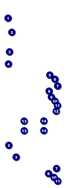 Black Friday Sale Event Ticket Front Field Markers