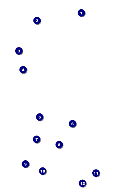 Pool Challenge Drink Ticket Front Field Markers