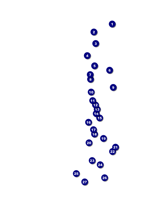 Cheerleading Spirit Flyer Front Field Markers