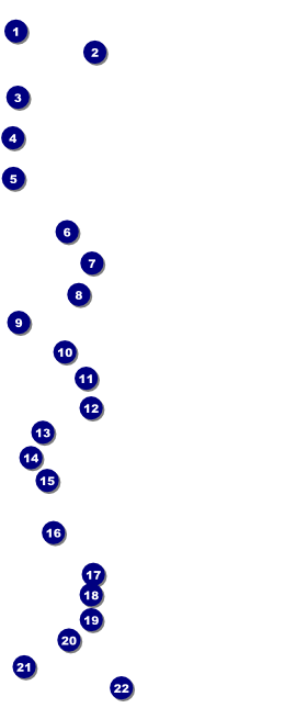 Spider Web VIP Pass 001 Front Field Markers
