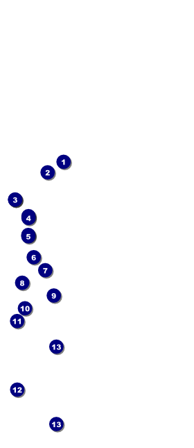 Mixed Martial Arts (Green) Hang Tag Front Field Markers