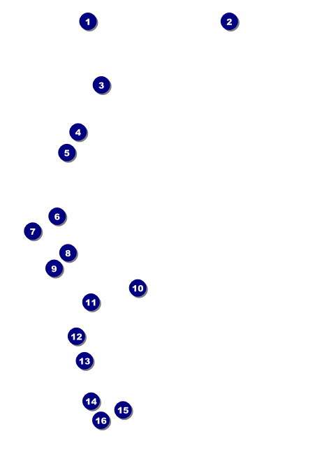 Bingo Bonanza Extravaganza Club Flyer Front Field Markers