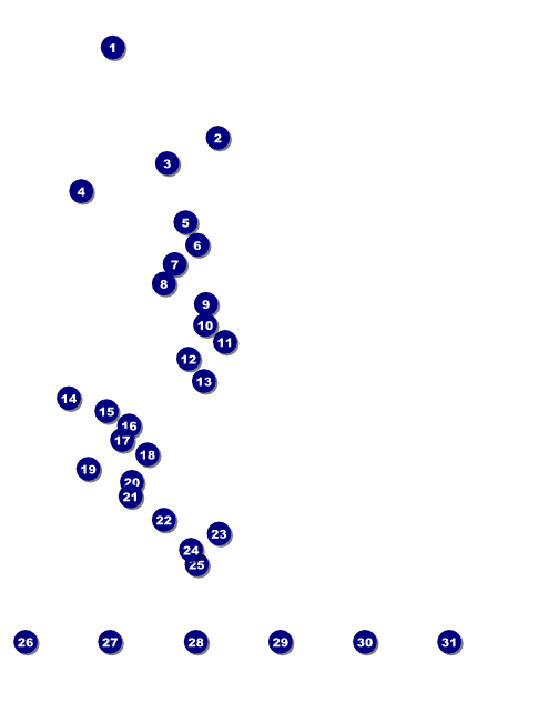 Spaghetti Flyer Front Field Markers