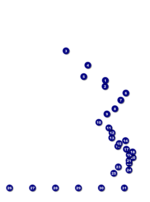 San Diego Flyer Front Field Markers