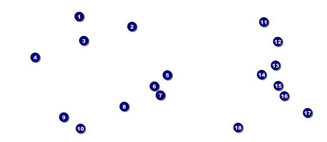 Christmas Decoration VIP Pass Front Field Markers