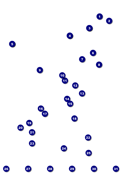 Soccer Flyer Front Field Markers