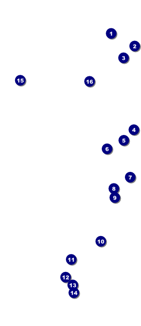 Cool Christmas VIP Event Badge Large Front Field Markers