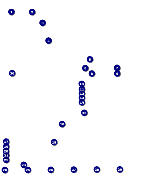 Class Reunion Mascot Purple Logo Flyer Front Field Markers