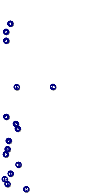 Baseball VIP Event Badge Large Front Field Markers