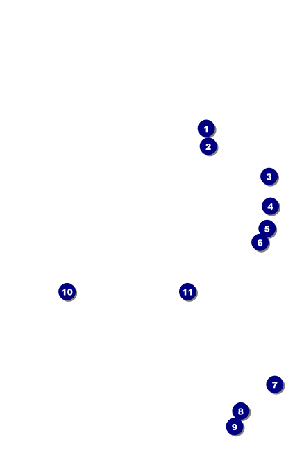 Black Tie VIP Event Badge Small Front Field Markers