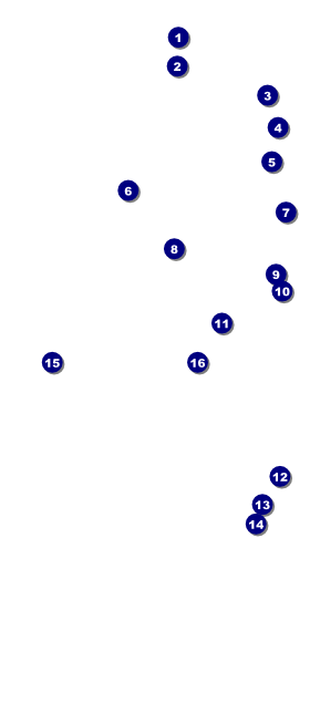 Champagne Bistro VIP Event Badge Large Front Field Markers