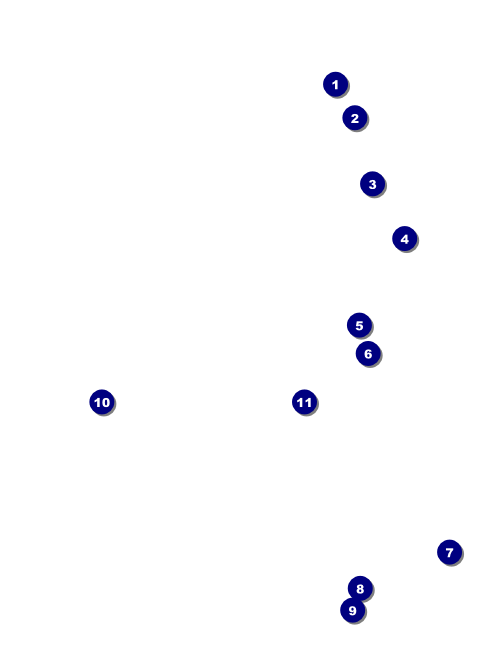 Classic Black Pinstripe Economy Event Badge Front Field Markers