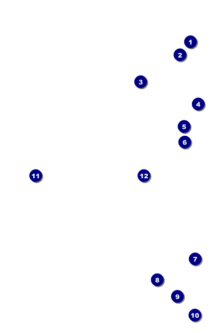 Color Circle VIP Event Badge Small Front Field Markers
