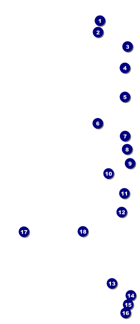 Music Festival VIP Event Badge Large VIP Event Badge Large Front Field Markers