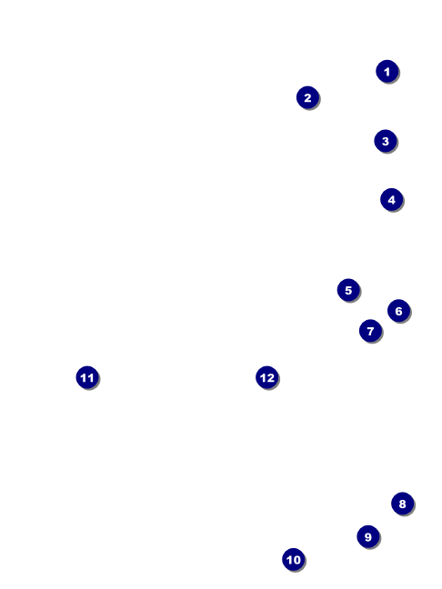 Football Green Economy Event Badge Front Field Markers