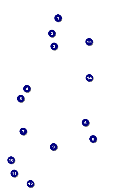 Golf Water Hazard VIP Event Badge Medium Front Field Markers