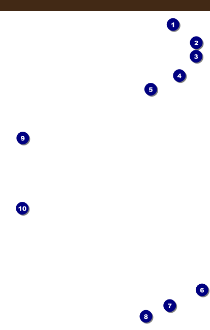 Beer Festival 2 VIP Event Badge Medium Front Field Markers