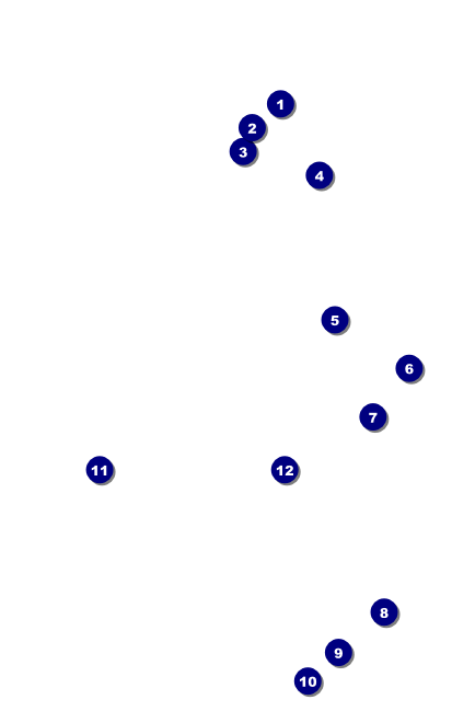 Bollywood VIP Event Badge Medium Front Field Markers