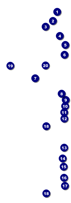 Roller Derby Pink Leopard Event Ticket Front Field Markers